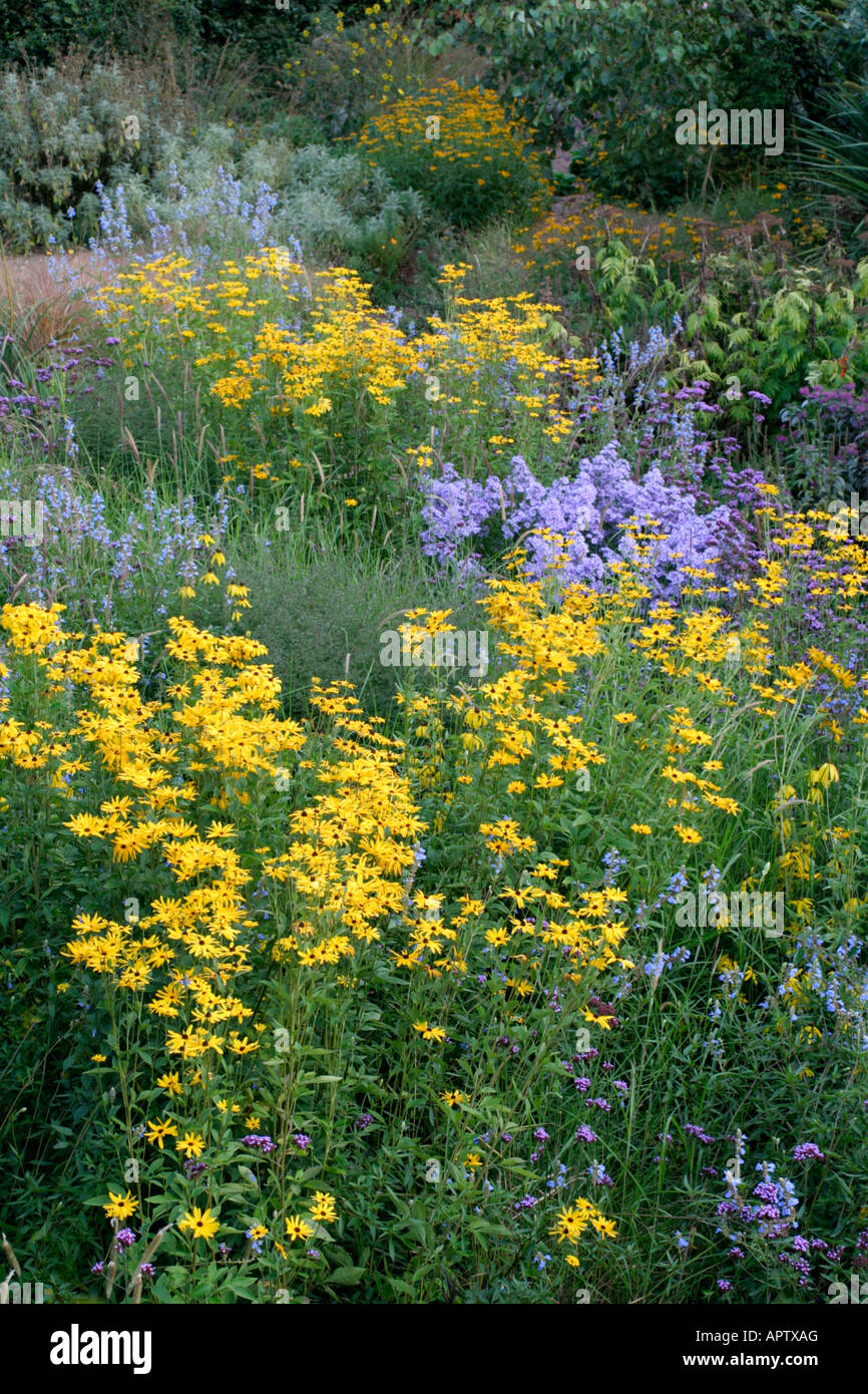 Il giardino di pietra a HOLBROOK metà settembre Foto Stock