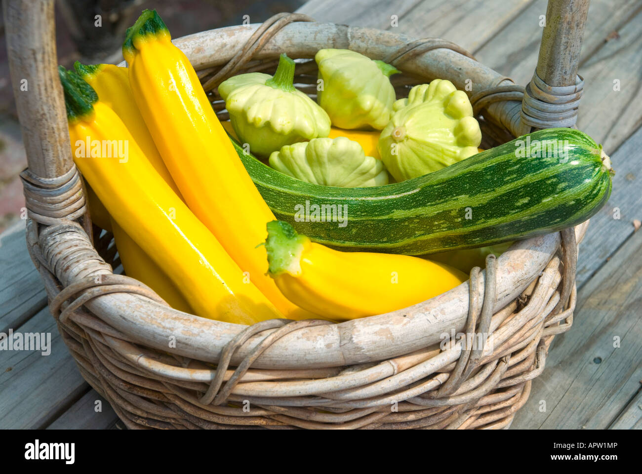 Un cestino di cucurbitte e zucchine raccolte Foto Stock