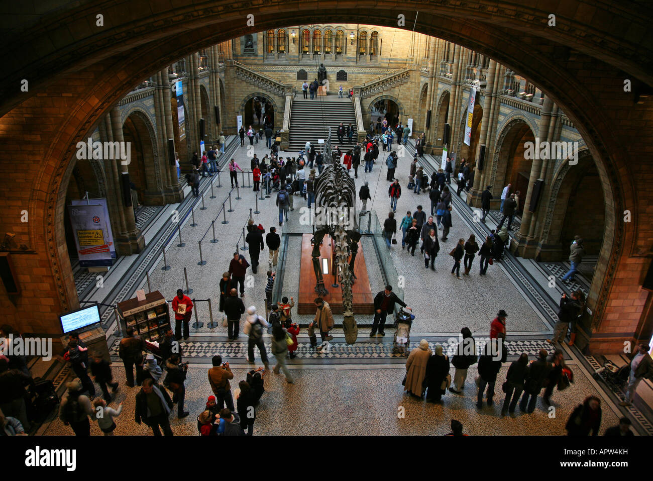 Museo di Storia Naturale di Londra attrazione turistica Foto Stock