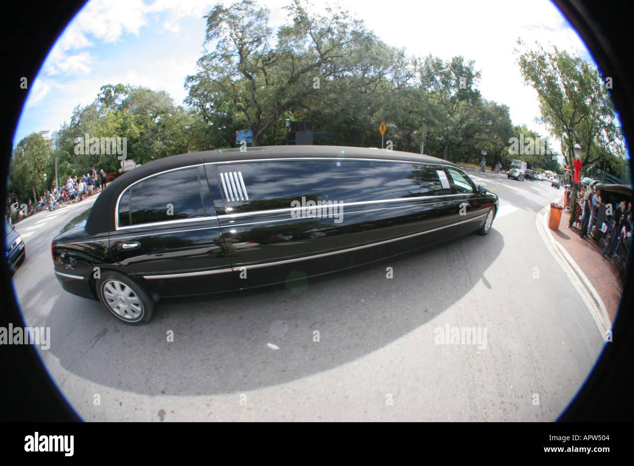 Miami Florida,Coconut Grove,King Mango Strut Parade,evento culturale,tradizione,attività,camminate,ginnastica,marciando,riconoscimento,intrattenimento,spettacolo Foto Stock