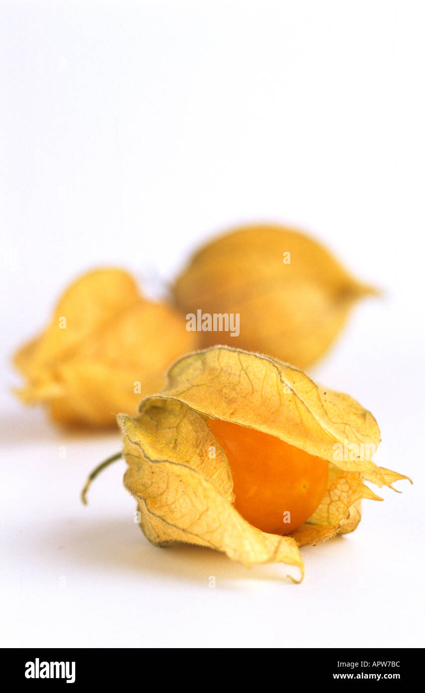 Physalis Cape Gooseberry Foto Stock
