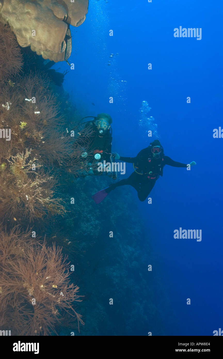 Due femmina subacquei lungo la parete in Little Cayman Isole Cayman Foto Stock