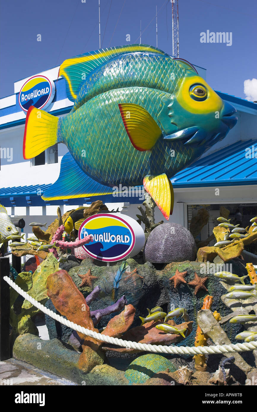 Pesci colorati scultura al di fuori del negozio di marine Cancun Quintana Roo MEXICO Foto Stock