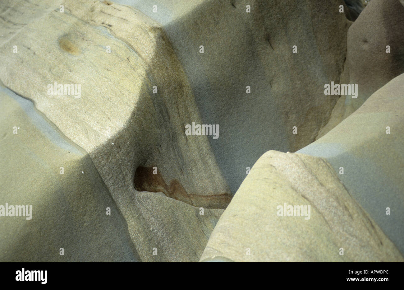 Rocce colorate intorno alla costa della Nuova Zelanda sono scolpiti da forze naturali di vento e acqua e correnti di marea Foto Stock
