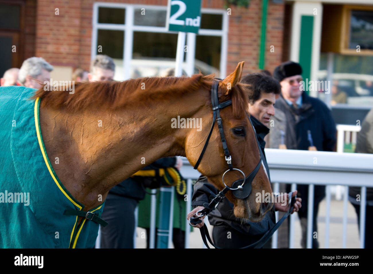 Lingfield Park horse racing corso 2 febbraio 2008 REGNO UNITO Foto Stock