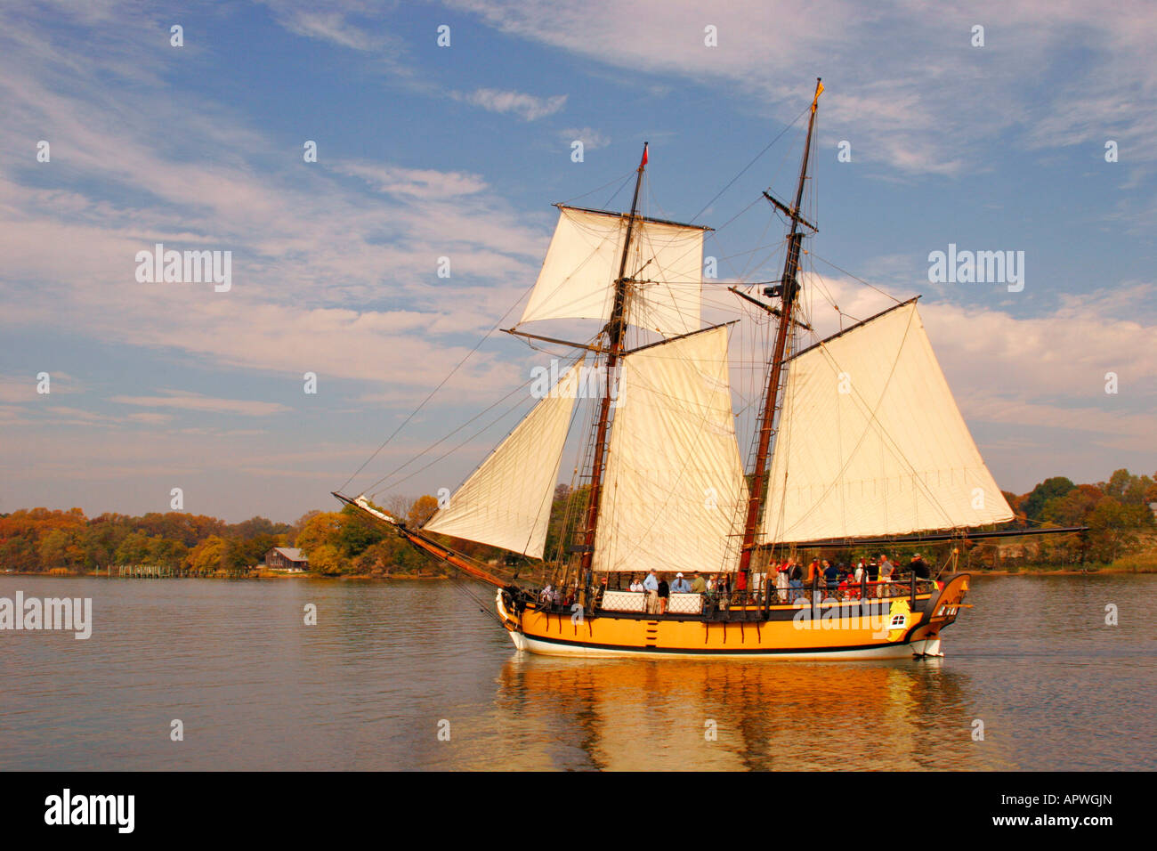 Uva sultanina, Downrigging Weekend, Chestertown, Maryland, Stati Uniti d'America Foto Stock