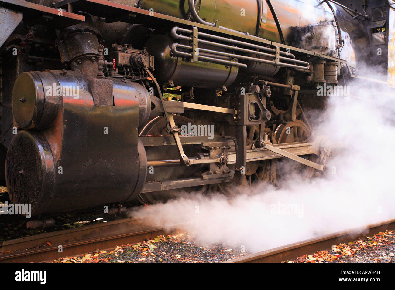 Western Maryland Scenic Railroad, Frostburg, Maryland, Stati Uniti d'America Foto Stock