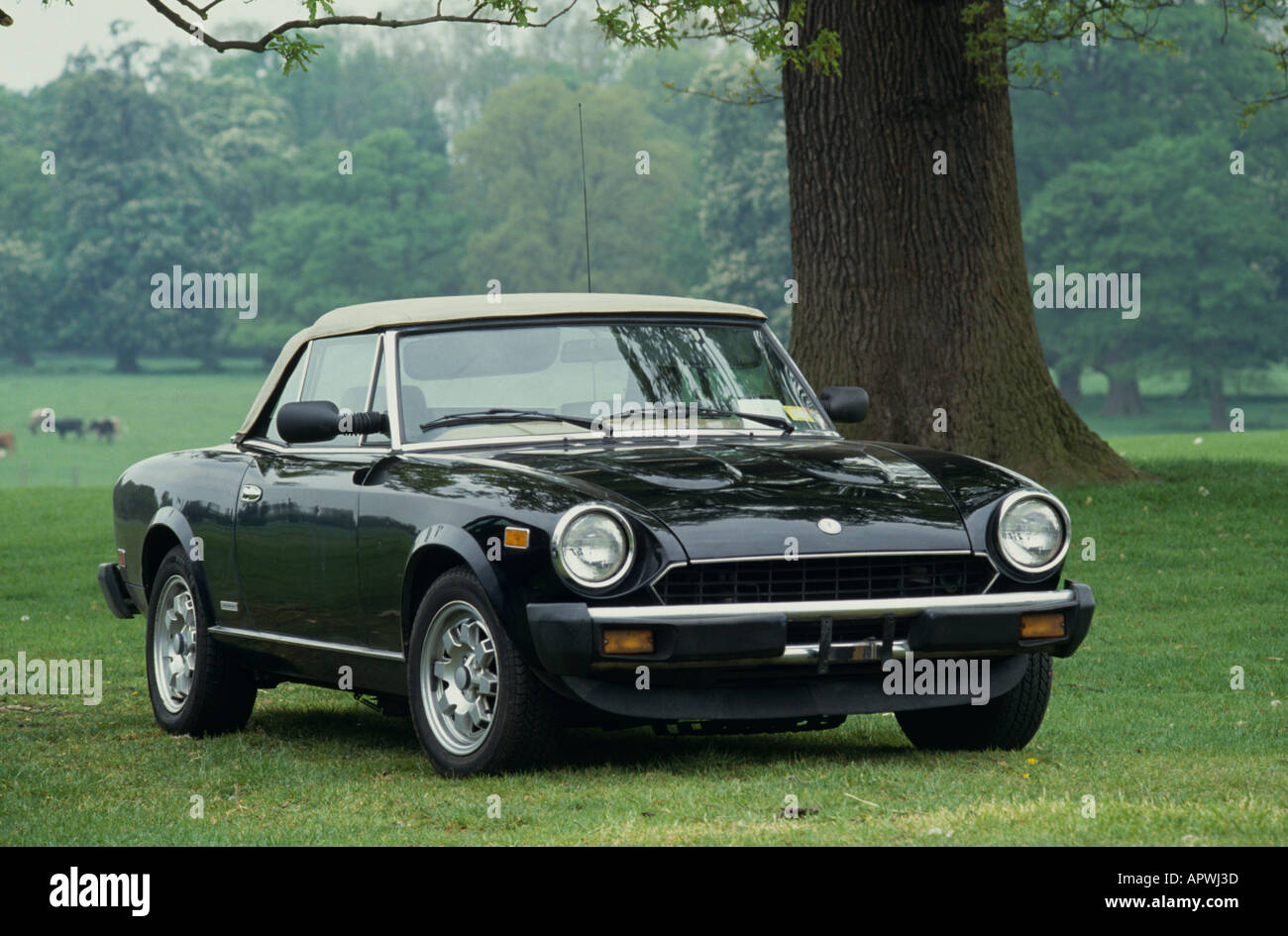 Fiat 124 Spider. 124 Spider costruito 1966 al 1982 Foto Stock