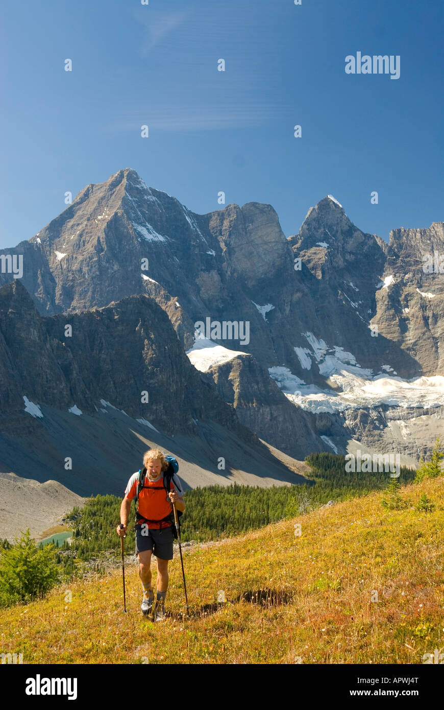 Escursionista presso Goodsir Pass Mount Goodsir 3567m 11 703 in background Kootenay National Park della Columbia britannica in Canada Foto Stock