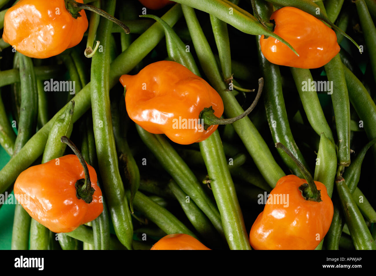 Verde di fagioli e hot orange Habanero peppers Foto Stock