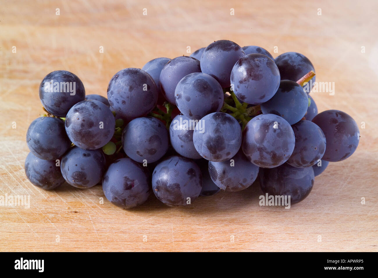 Uva nera Vitis vinifera Foto Stock