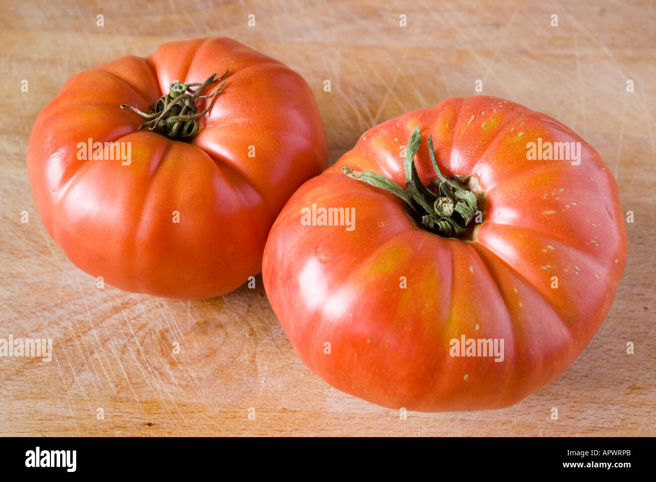 Due grandi maturi organico rosso pomodoro Solanum lycopersicum Foto Stock