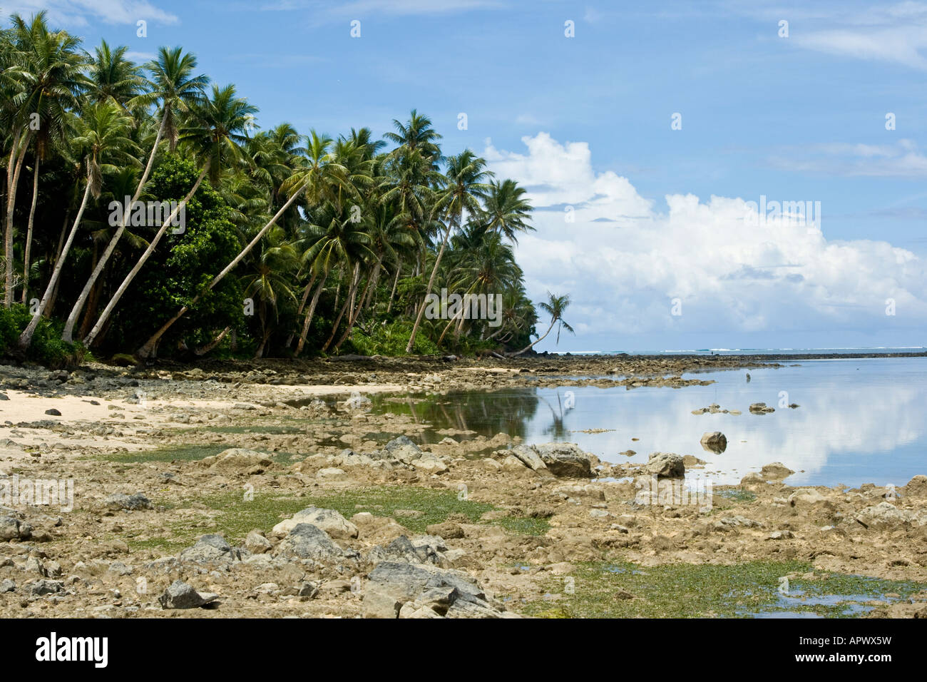 Una bellissima spiaggia tropicale sull'Isola di Yap Foto Stock