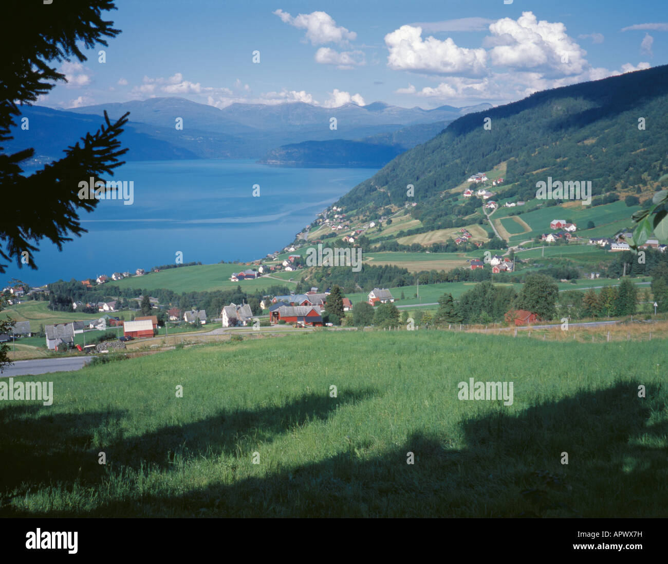 Vista sul villaggio di martello accanto innvikfjord (un braccio del nordfjord), Sogn og Fjordane, Norvegia. Foto Stock