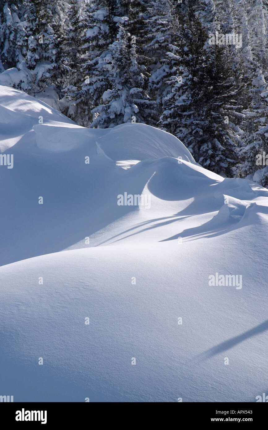 Tempesta di neve sulla cresta della montagna. Foto Stock Tempesta di neve sulla cresta della montagna. Foto Stock