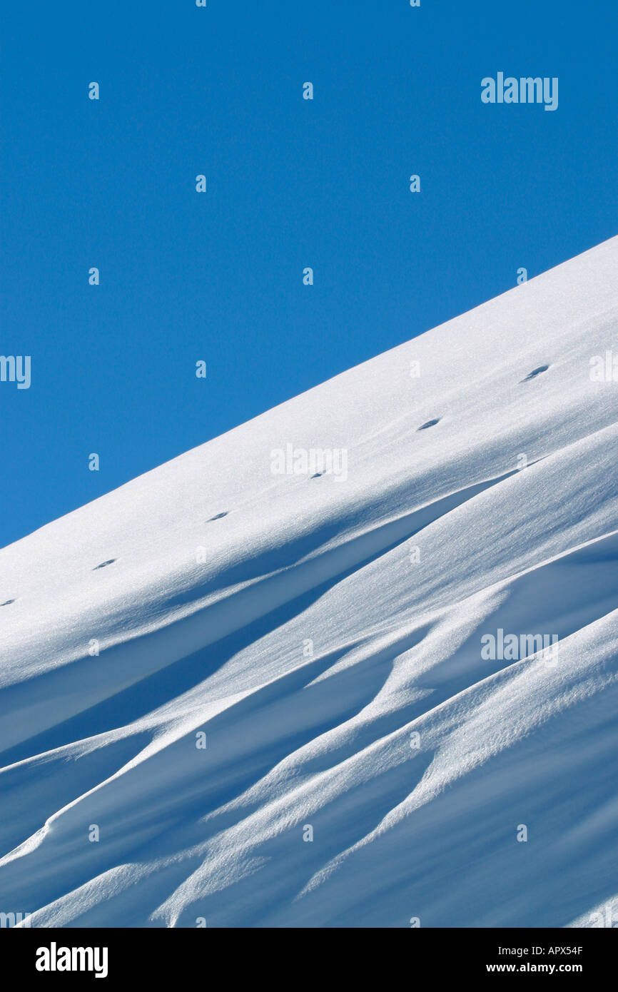 Le tracce degli animali sulla neve ridge. Foto Stock Le tracce degli animali sulla neve ridge. Foto Stock
