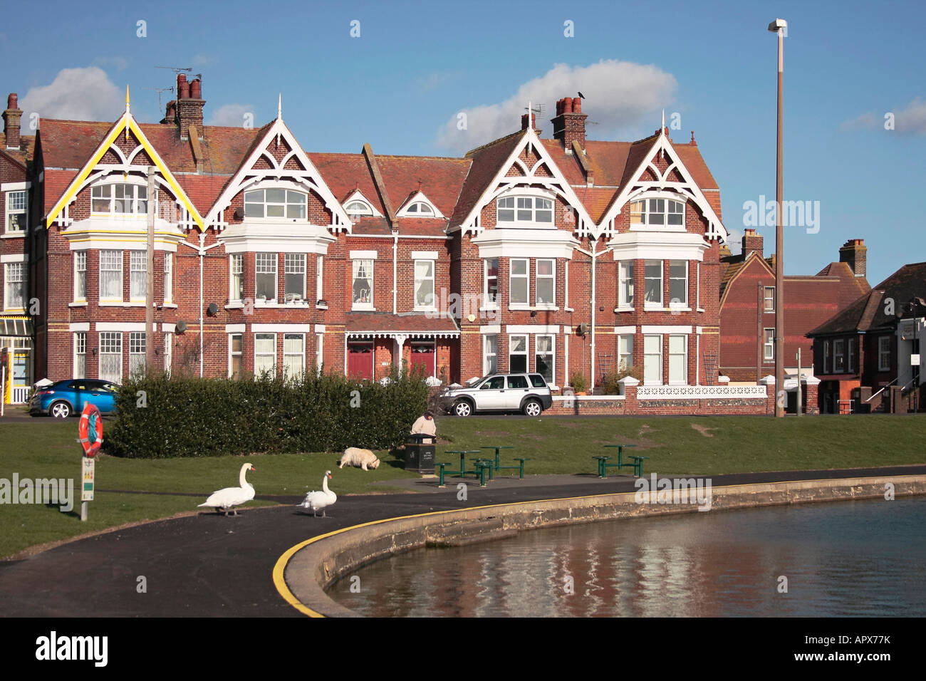 Coppia di cigni da Oyster Pond in Littlehampton, West Sussex, Regno Unito Foto Stock