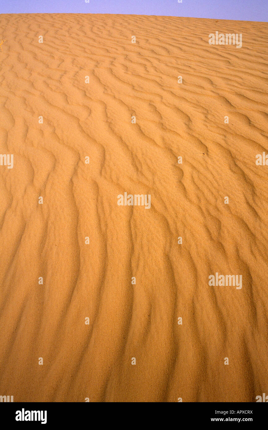 Increspature nella sabbia causata dal vento Foto Stock