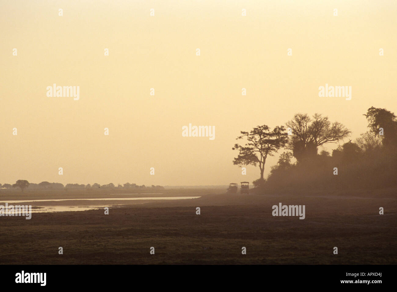 Vista nebuloso di due veicoli su safari nel Chobe National Park Foto Stock