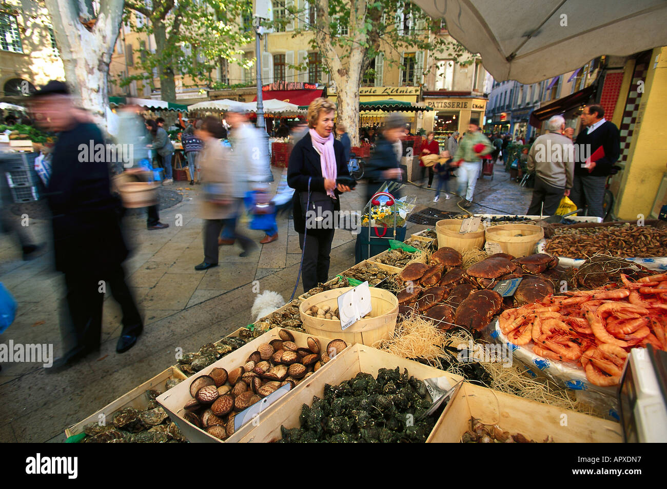Aix-en-Provence, Provenza, Francia Foto Stock