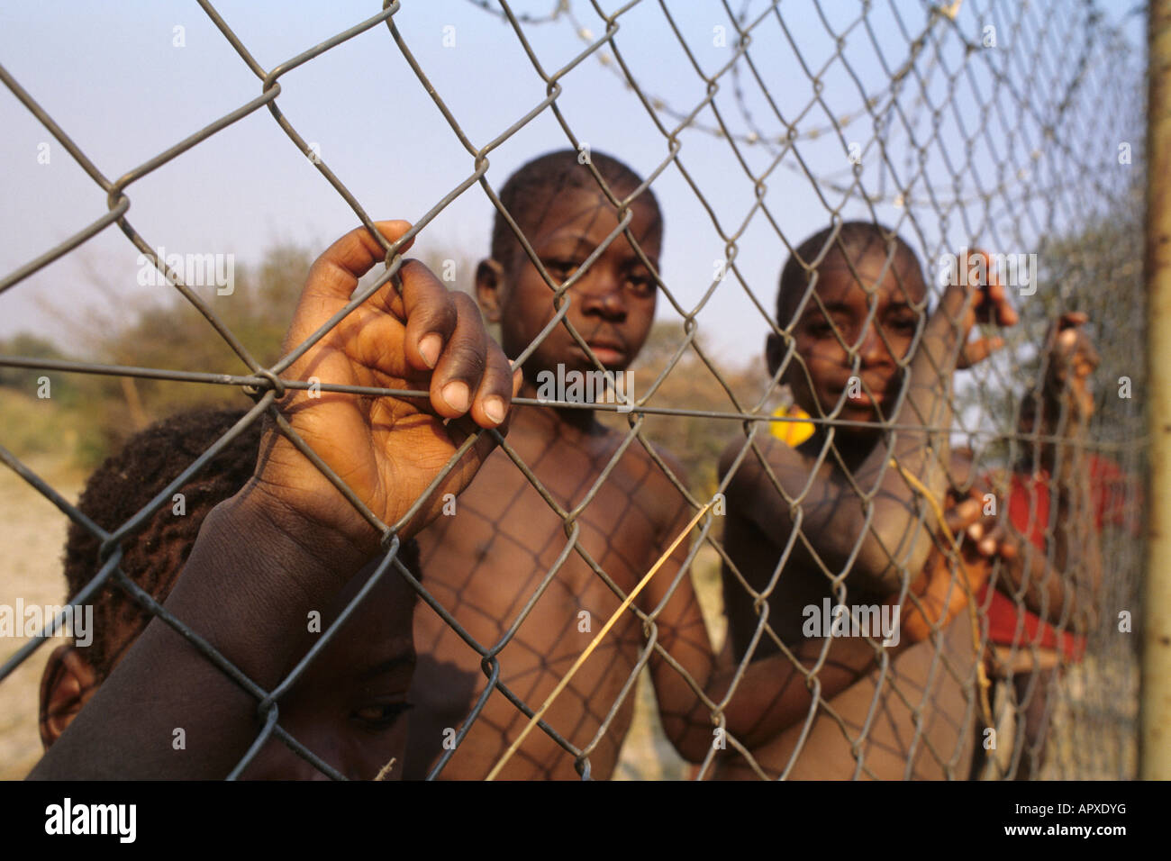 Un gruppo di ragazzi piccoli presso la recinzione di confine in un villaggio di Divundu Foto Stock