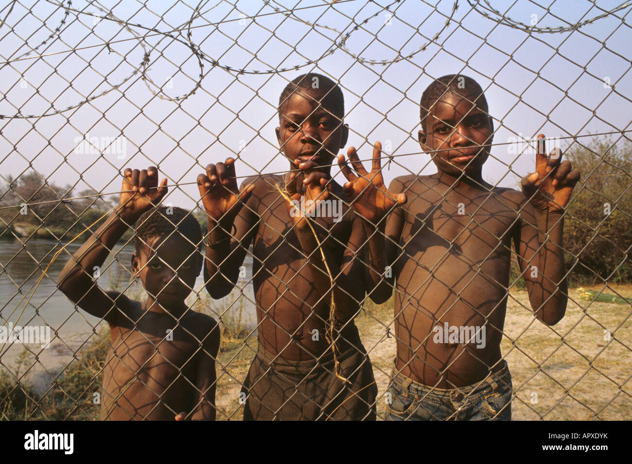 Un gruppo di ragazzi piccoli presso la recinzione di confine in un villaggio di Divundu Foto Stock