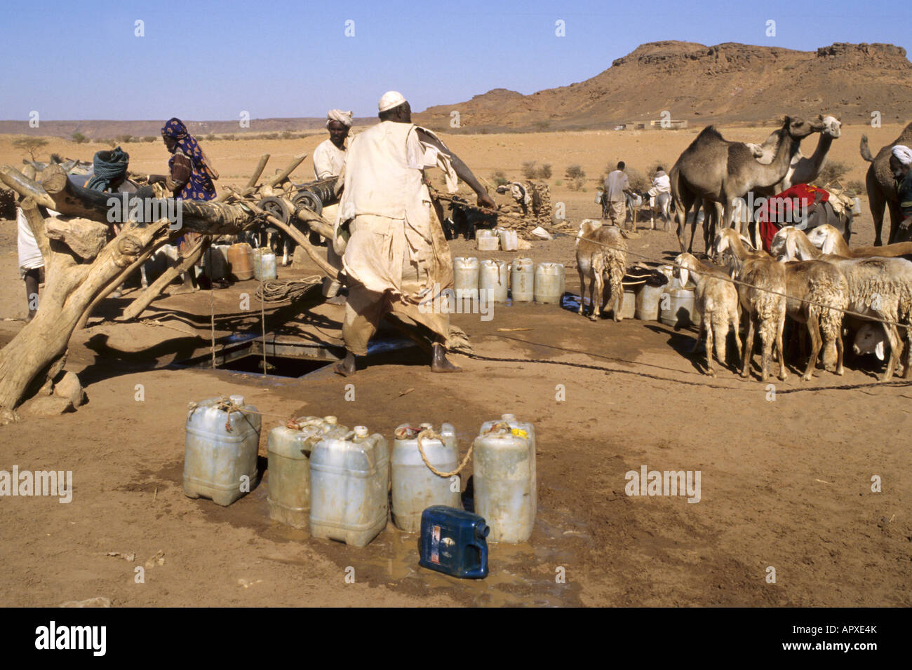 Nomads fetch di acqua per i loro cammelli e allevamento di capre da un deserto ben Foto Stock