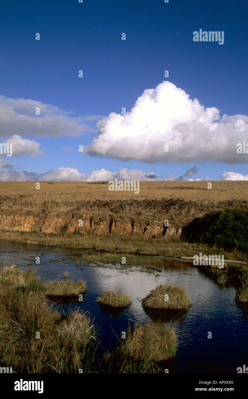 Nyika Parco Nazionale con nuvole riflettono in acqua. Foto Stock
