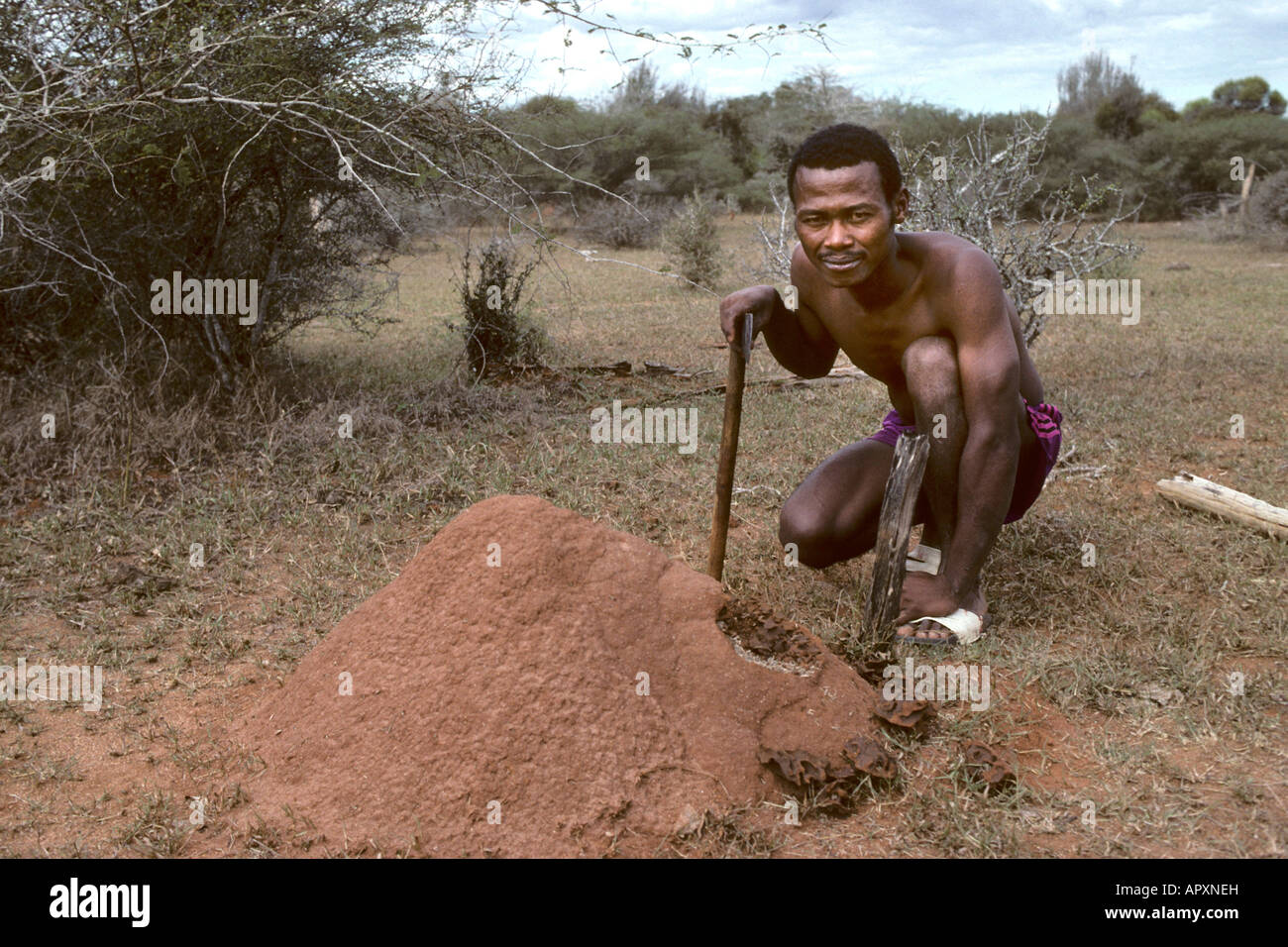 Un malgascio uomo accovacciato vicino a termite mound Foto Stock