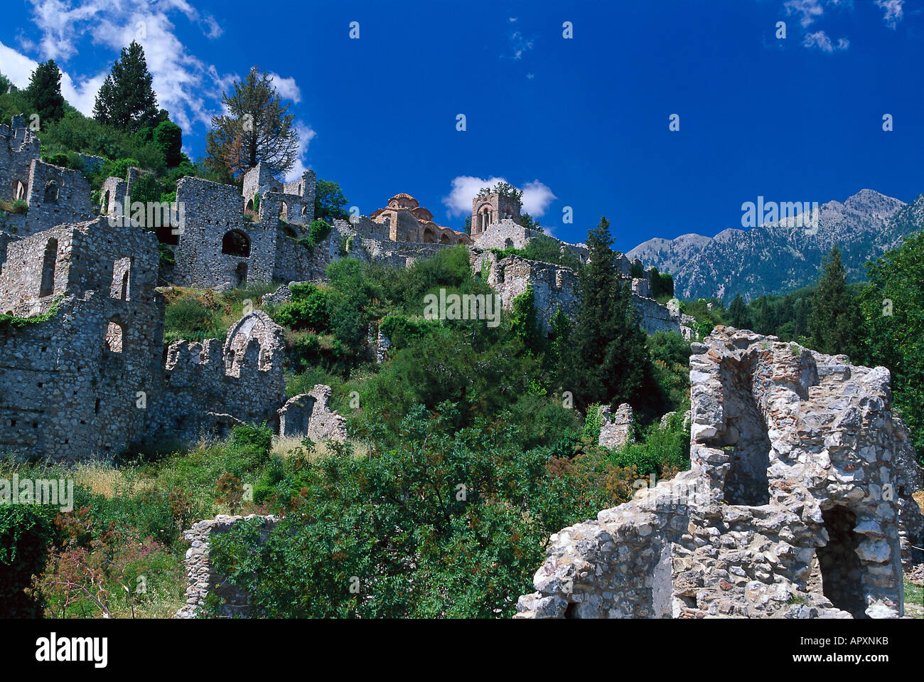 Bizantina città fortificata, Mistra, Taigetos montagne, Laconia, Peloponneso, Grecia Foto Stock