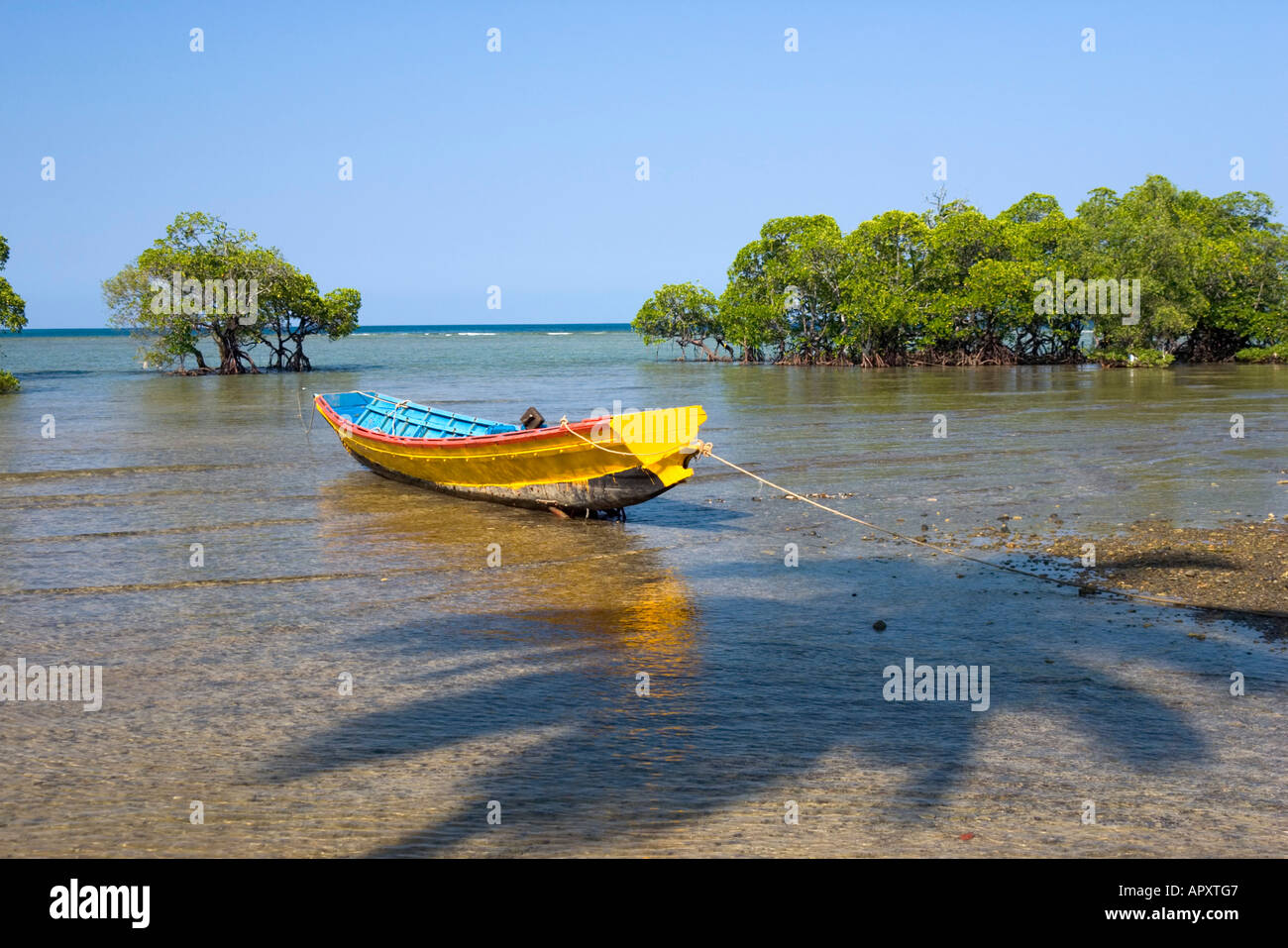 Fishingboat di mangrovie, South Andaman, Andaman Isl., India Foto Stock