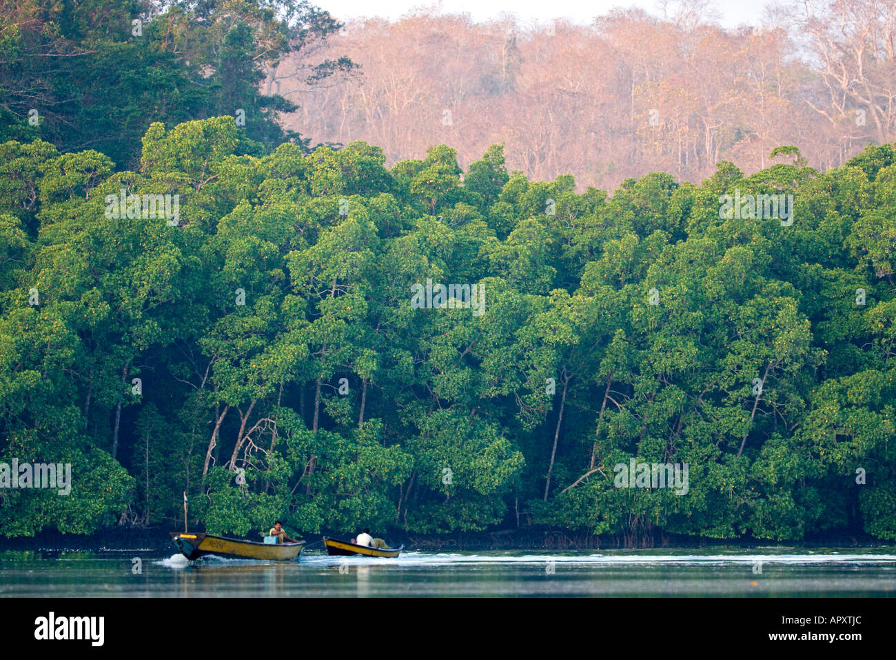 Barche da pesca di mangrovie, Austin stretto, Andaman, India Foto Stock