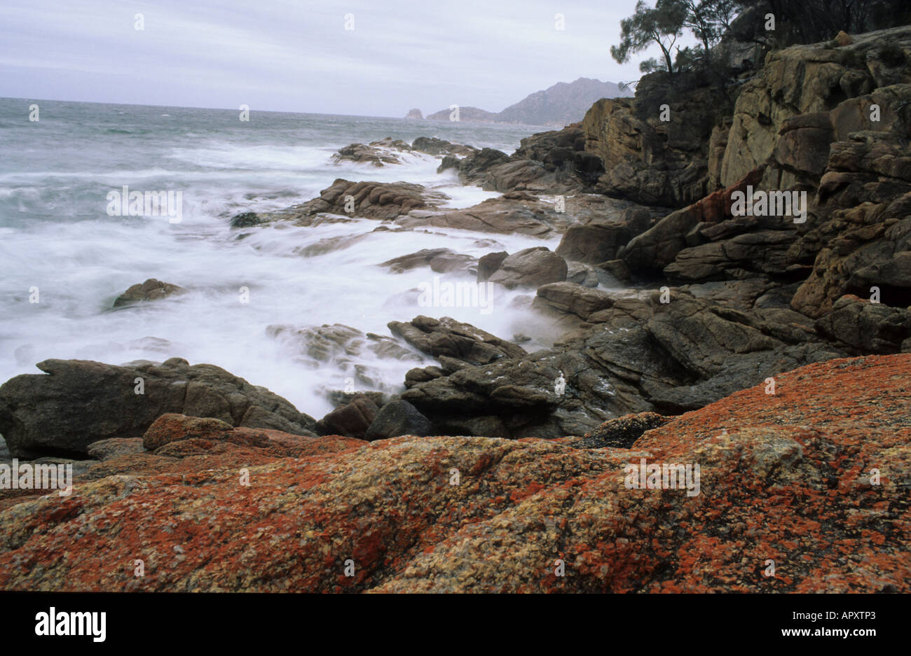 Penisola di Freycinet, NP, east coast, Tasmania Foto Stock