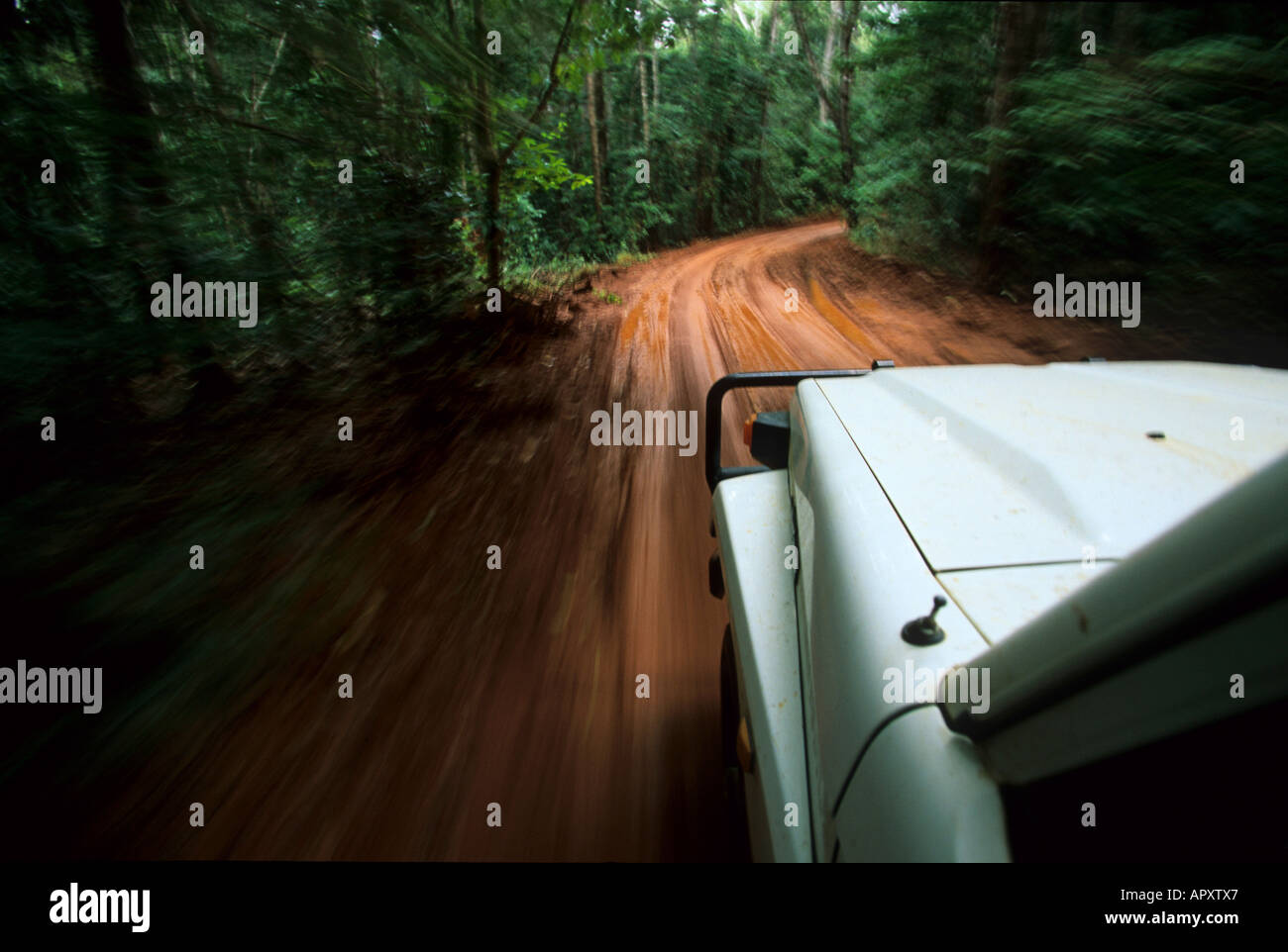 La guida 4WD via Cape York, Australia, la trazione a quattro ruote motrici tour sulla vecchia via del Telegrafo, Allrad tour zum Suggerimento Cape York Foto Stock