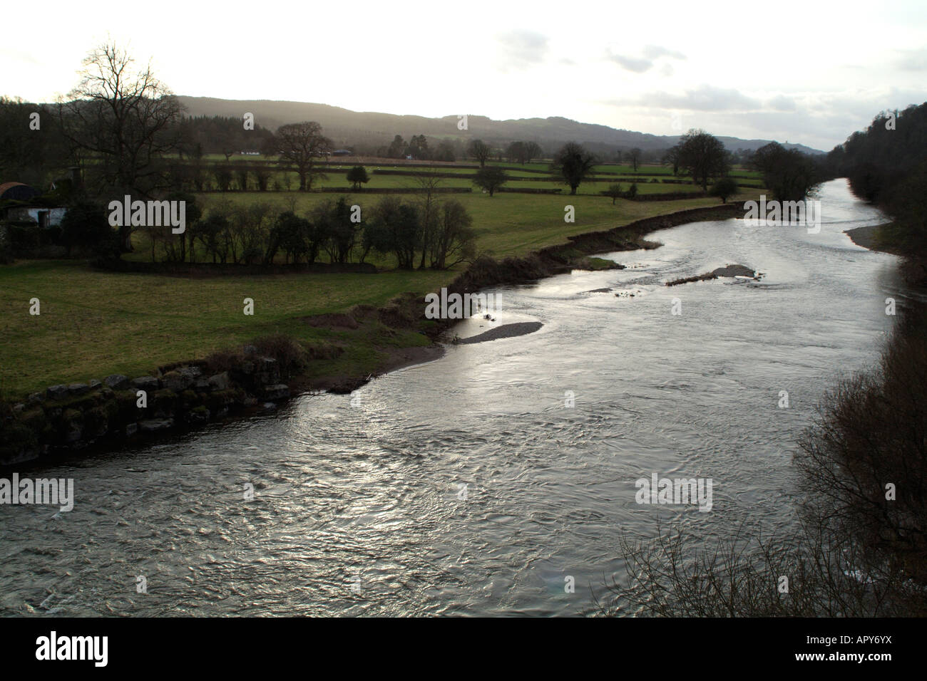 Paesaggio invernale sul fiume Towey a Llandeilo Galles Foto Stock