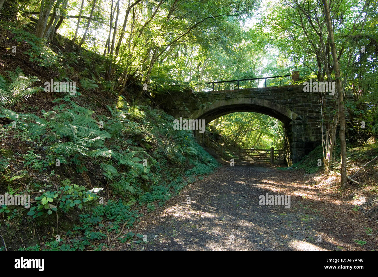 In disuso la linea ferroviaria da Aberystwyth in direzione di Carmarthen vicino a Trawscoed Ceredigion, ora il sentiero Ystwyth percorso ciclo Foto Stock