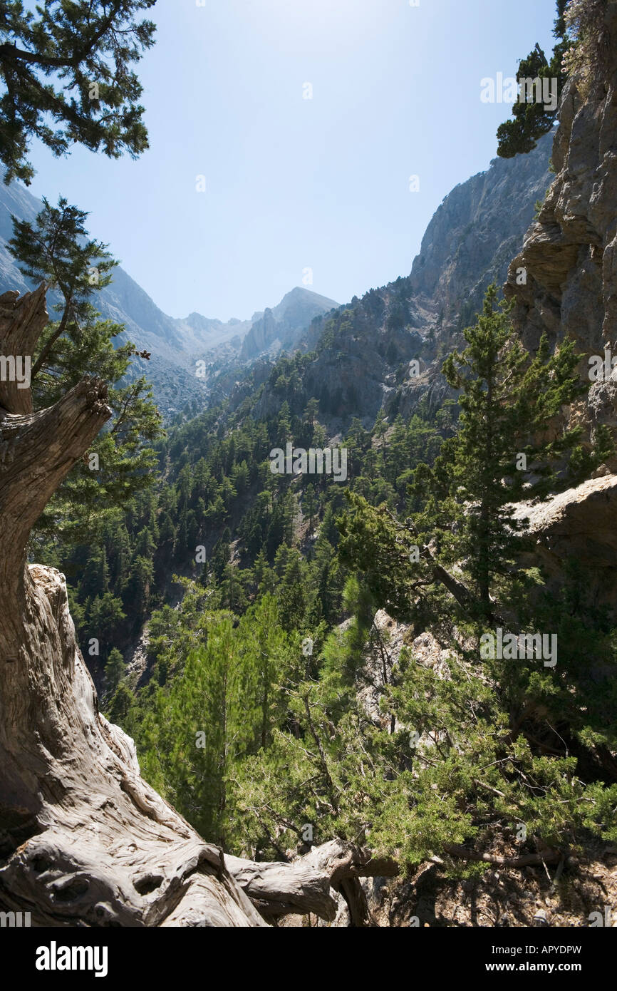 Vista dalla scalinata che conduce giù per la Gola di Samaria Gorge National Park, Lefka Ori, Provincia di Chania, Creta, Grecia Foto Stock