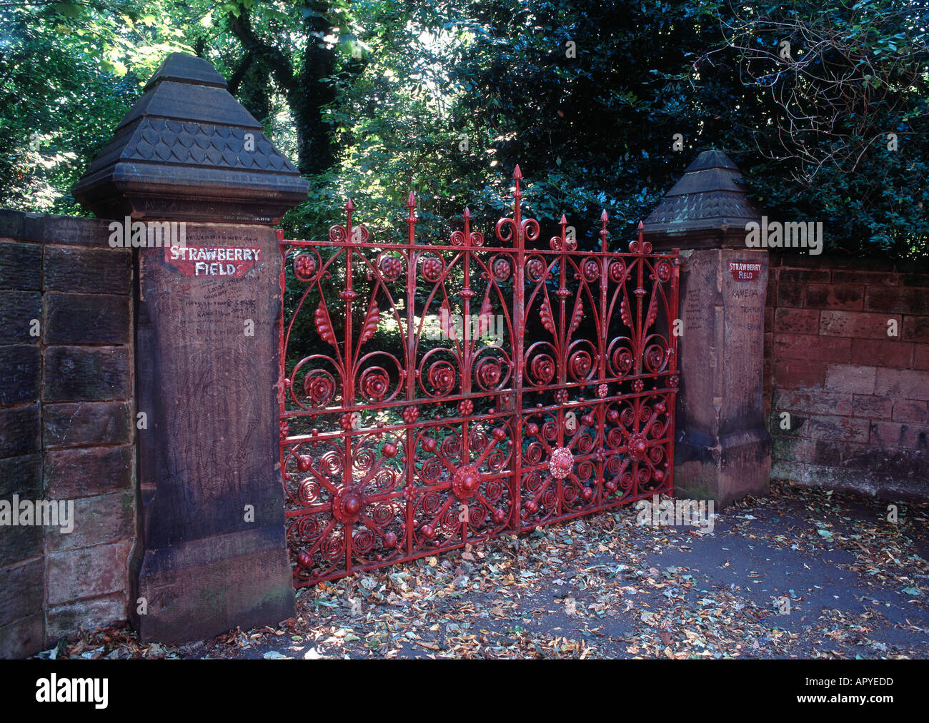 Campo di fragole, Beaconsfield Road, Liverpool, in Inghilterra Foto Stock