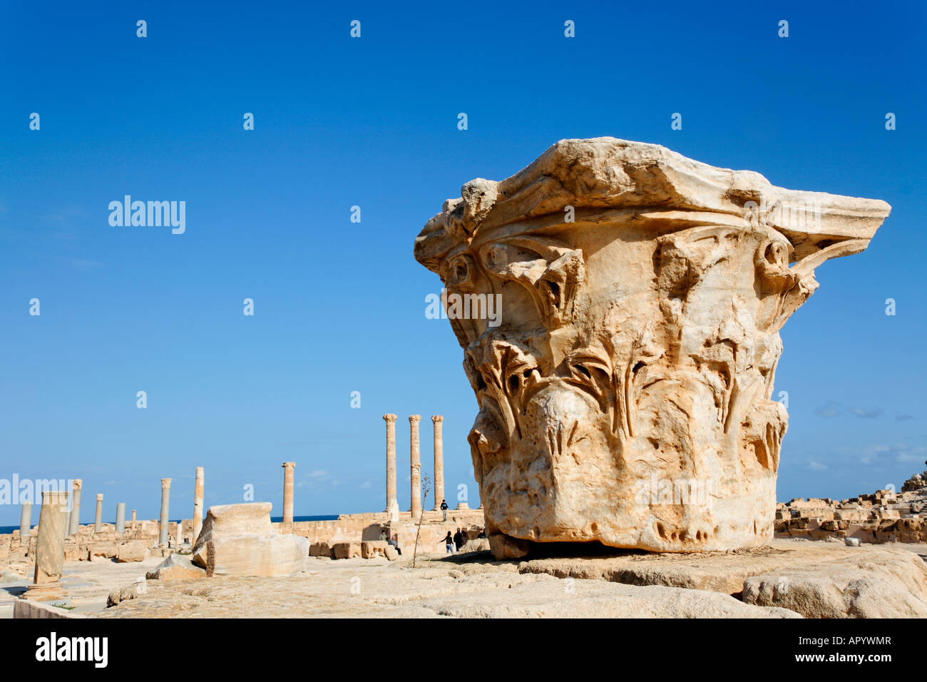 Close up di un scolpito colonna romana a Sabratha Libia Foto Stock