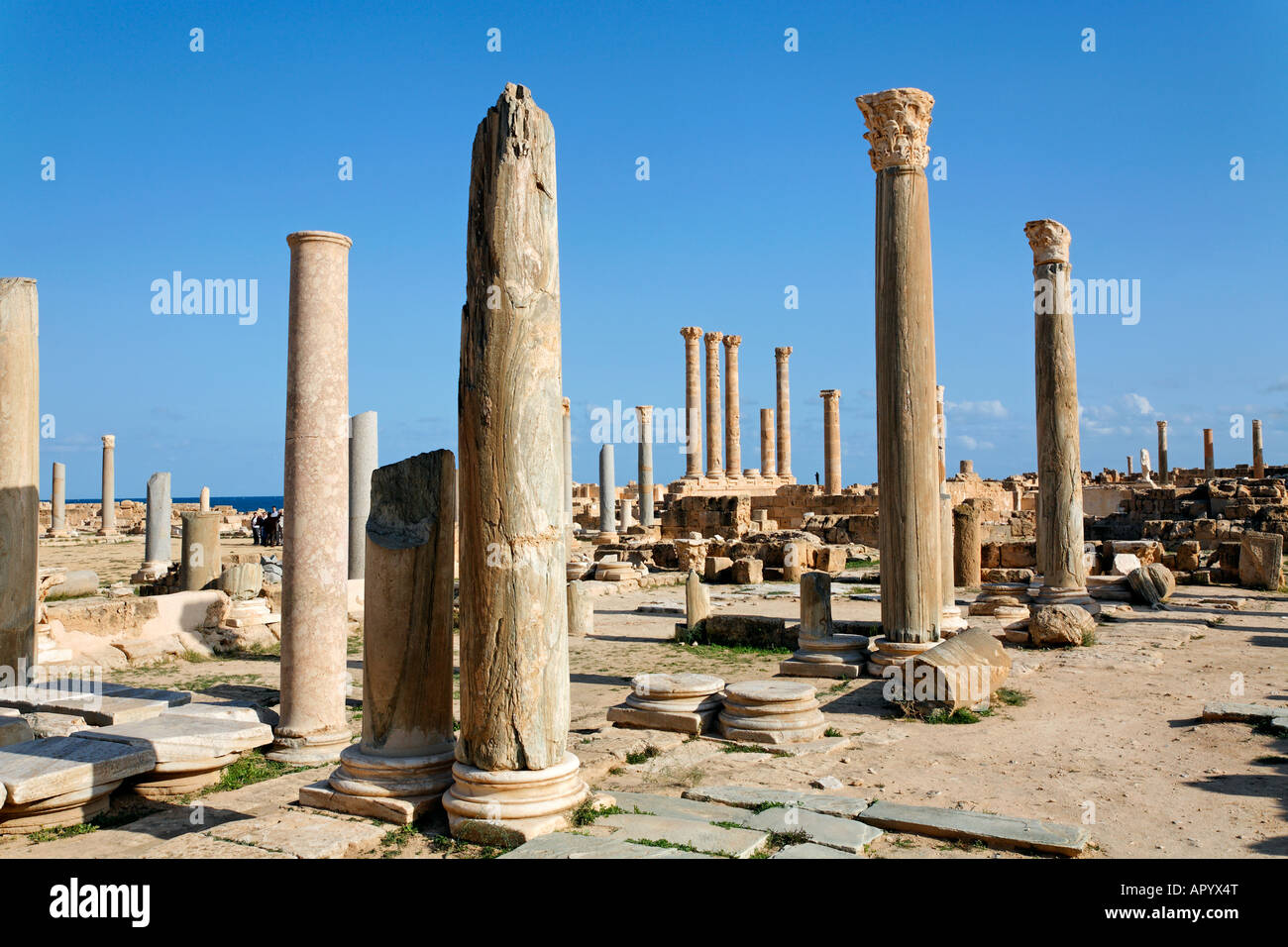 Colonne romane a Sabratha Libia Foto Stock