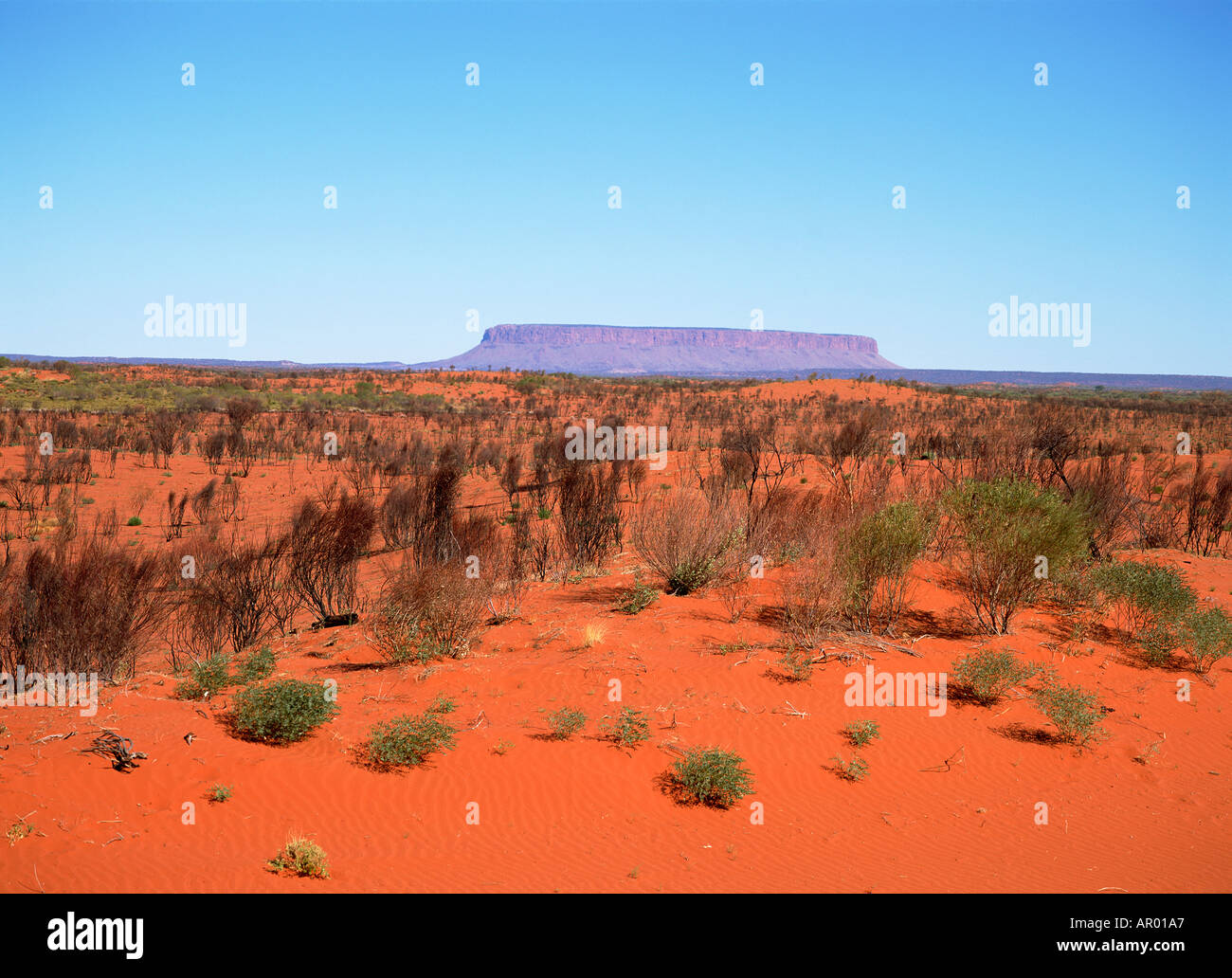 Mt Connor Territorio del Nord Australia Foto Stock