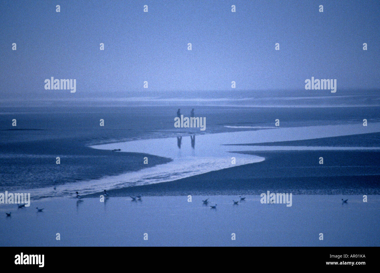 Due uomo a camminare sulla spiaggia in una fitta nebbia a zig zag Foto Stock