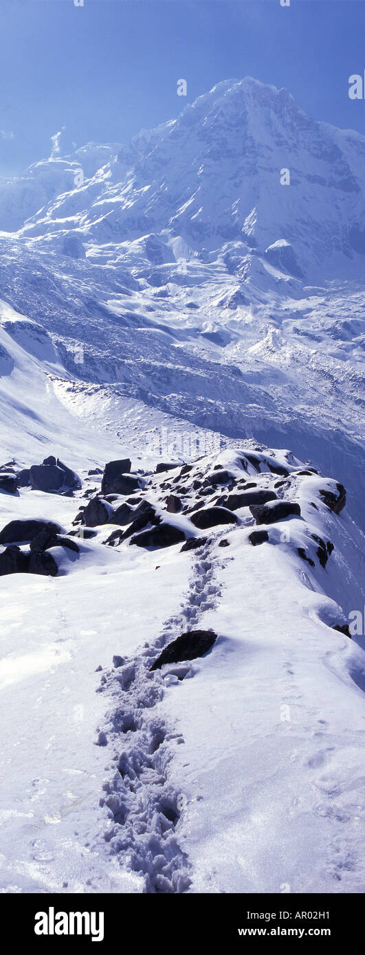 Orme nella neve, montagne, Nepal, Asia Foto Stock