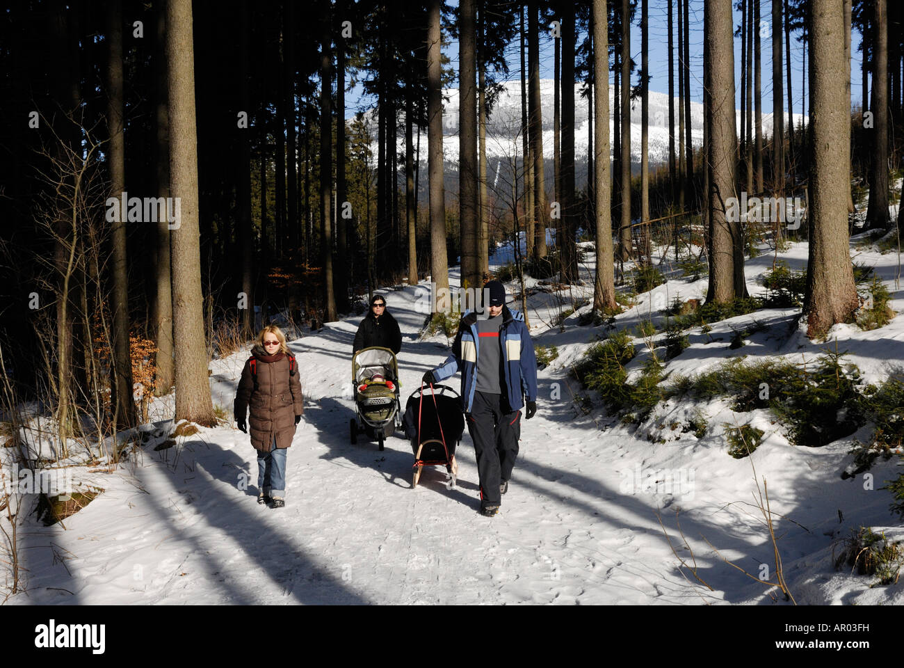 Famiglia Passeggiate inverno natura foresta Foto Stock