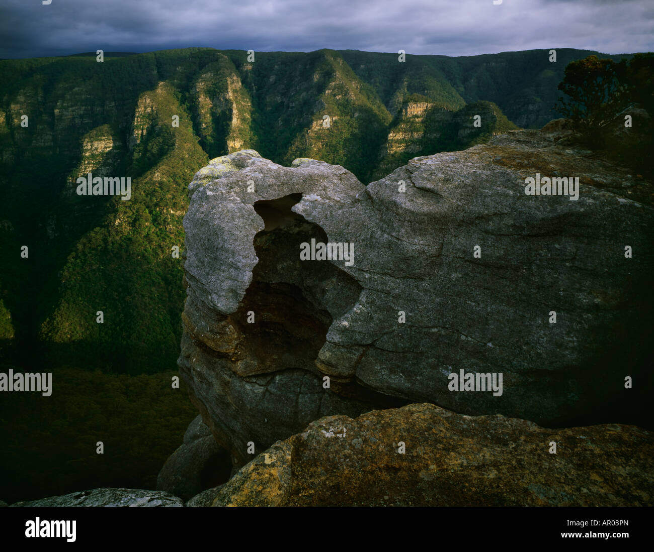 Una vasta area selvaggia entro l'Area Patrimonio Mondiale delle Blue Mountains ad ovest di Sydney. Kanangra Boyd National Park, NSW, Australia Foto Stock