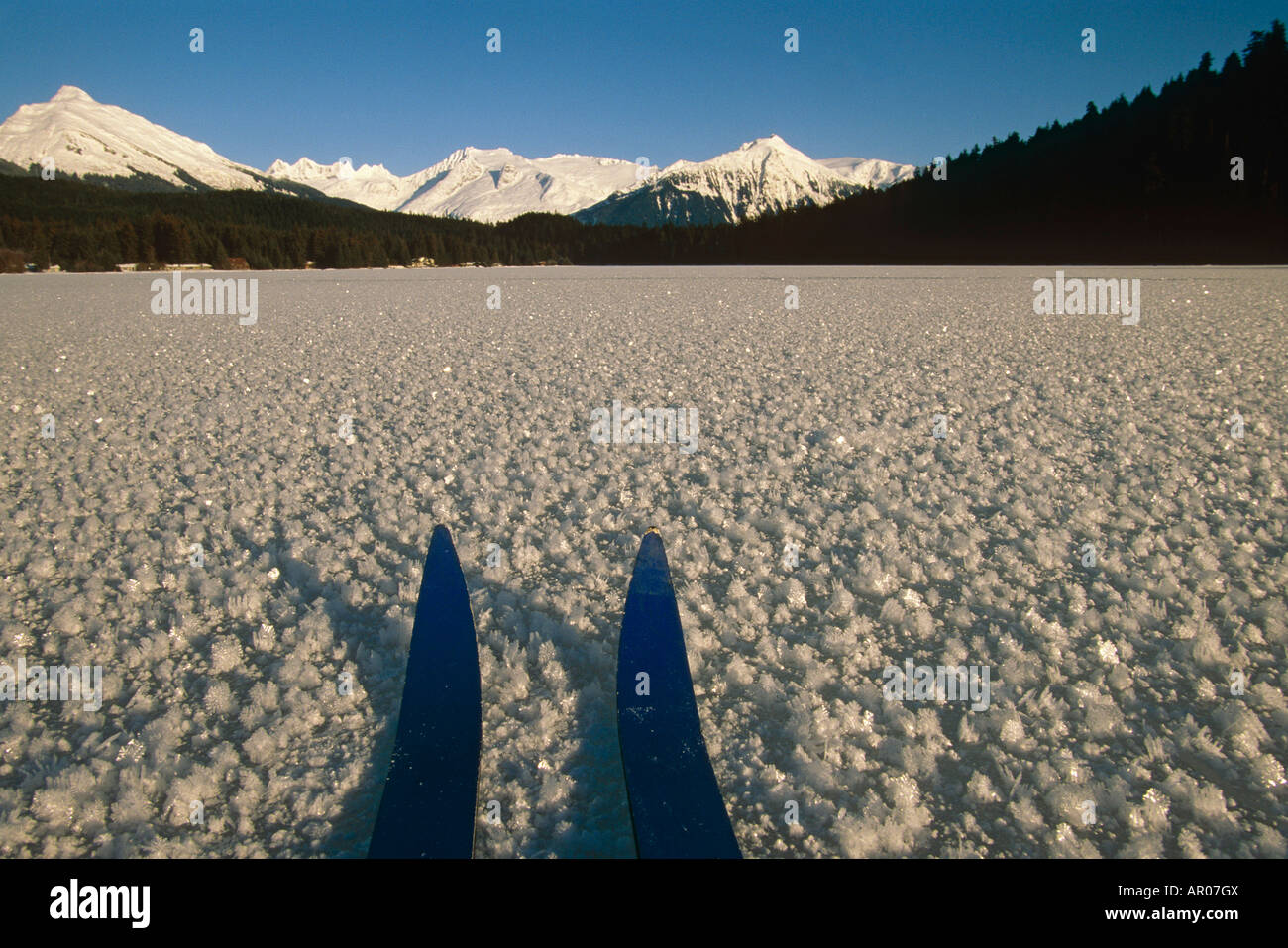 Suggerimenti anteriore di Sci di Fondo Sci Auke Lago Juneau SE AK inverno scenic Foto Stock