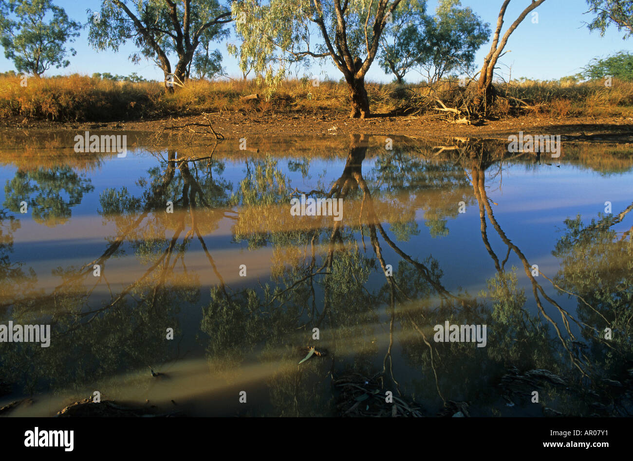 Billabong, Flussarm, Matilda Highway, Australien, Qld, Matilda Hwy, o Swagman wanderer campi da un billabong o waterhole, Austr Foto Stock