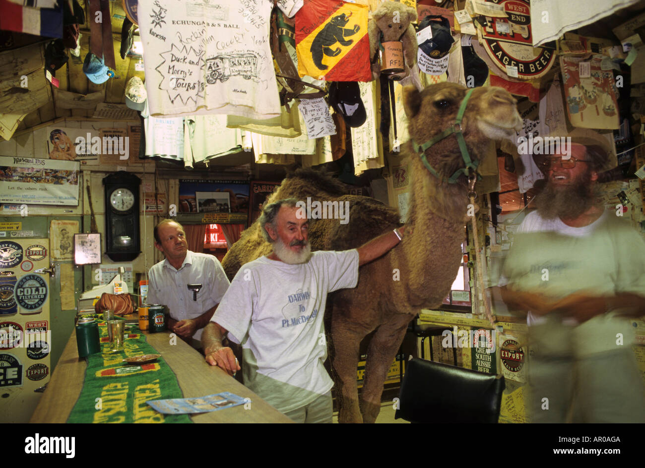 William Creek Hotel in outback, Australien, Sud Australia, Oodnadatta Track, camel nel William Creek Hotel Foto Stock