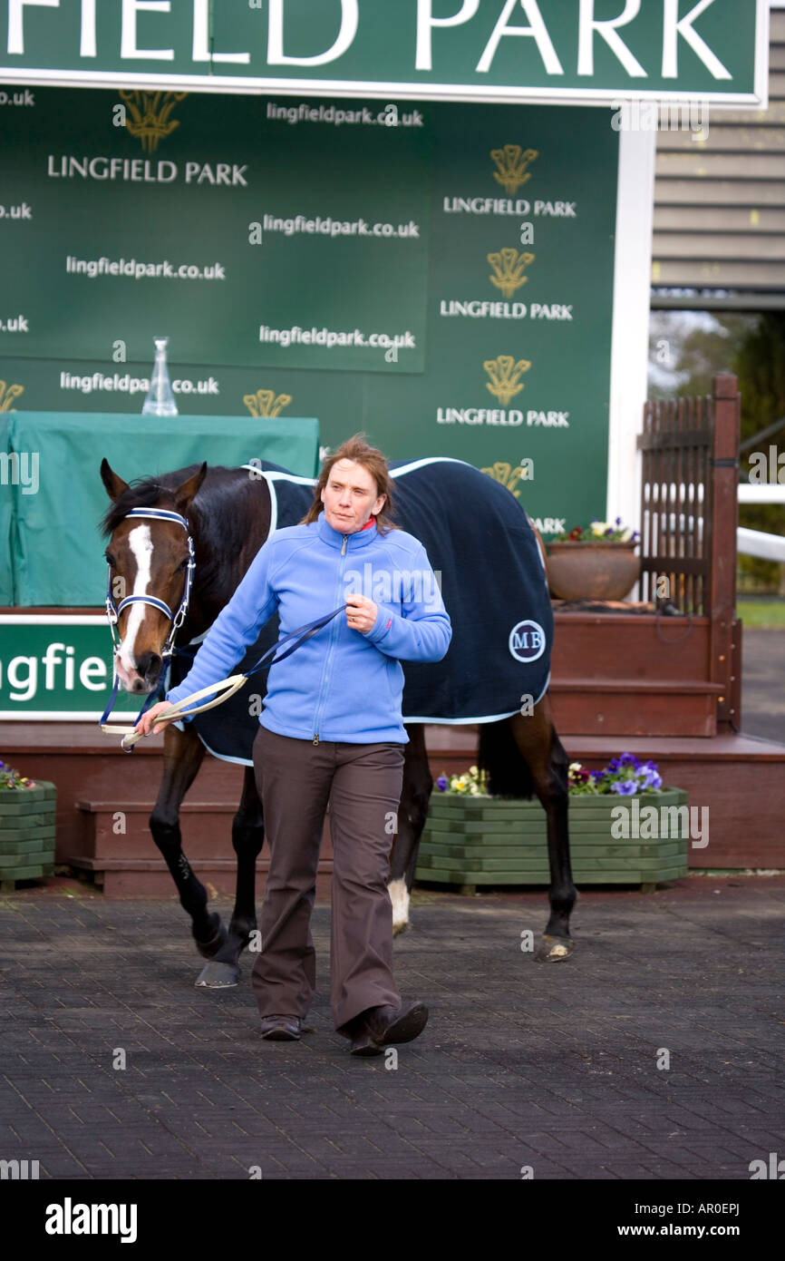 Lingfield Park horse racing corso 2 febbraio 2008 REGNO UNITO Foto Stock