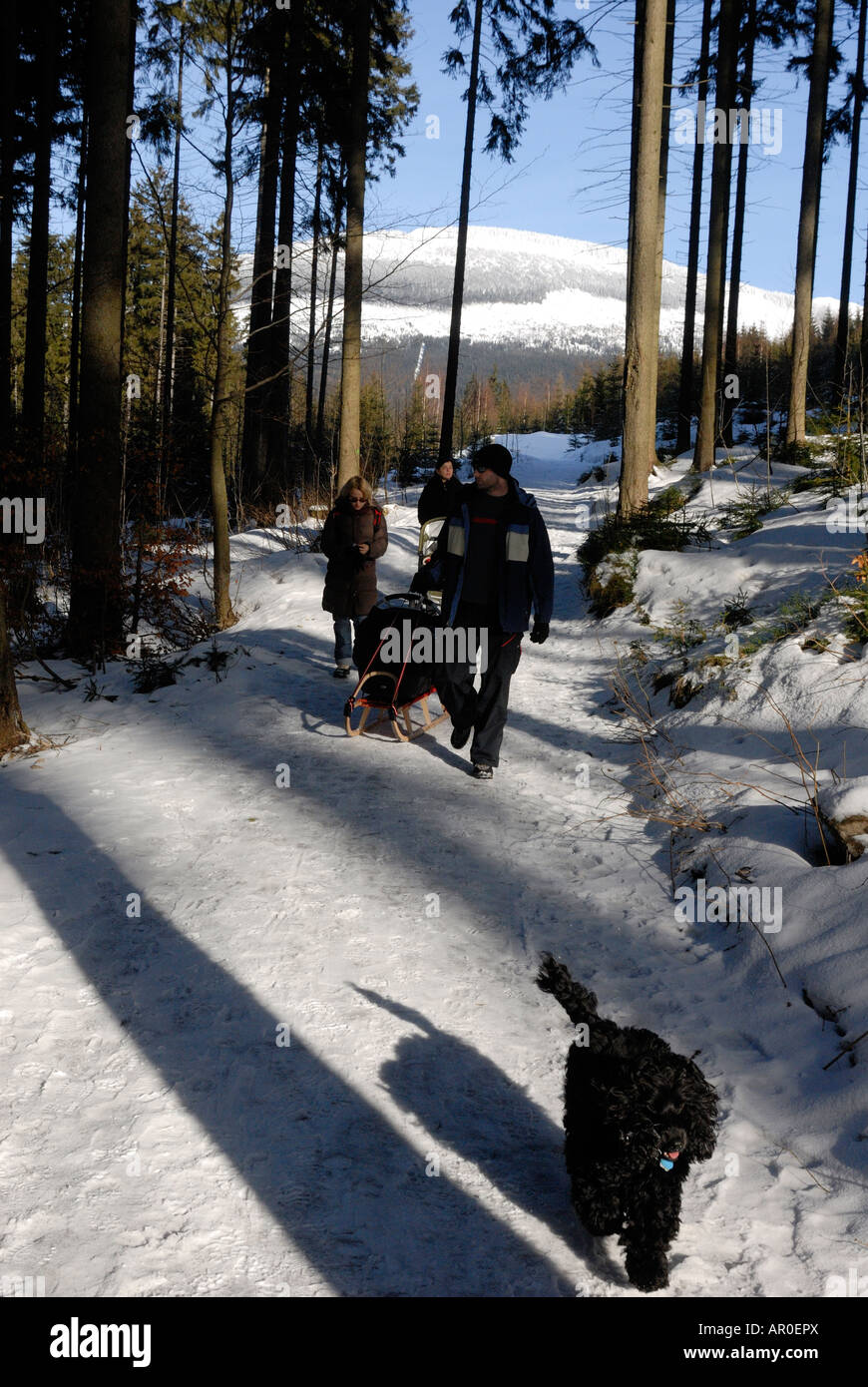 Famiglia Passeggiate inverno natura foresta con cane Foto Stock